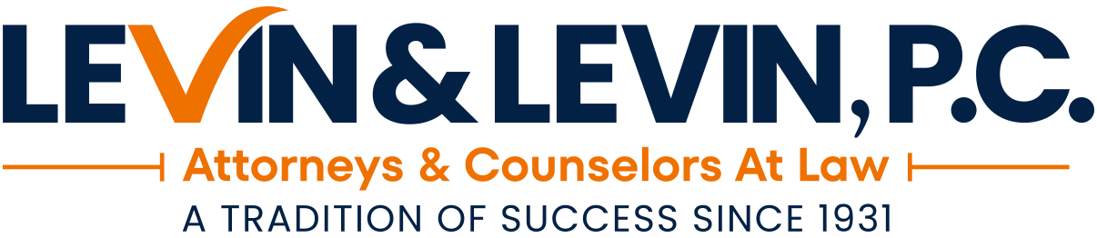 Levin Logo Navy Intro