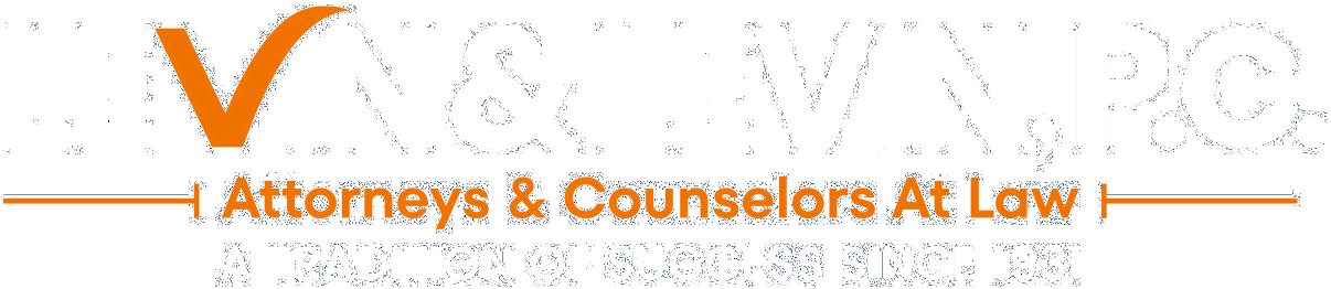 Levin Logo White Intro